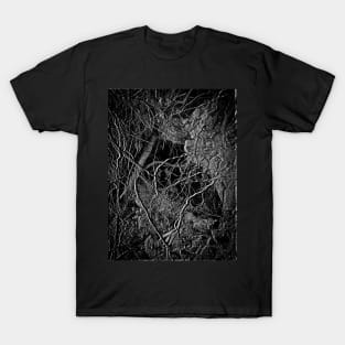 TONE ROOTS 3 - Subterranean Conversation Exposed T-Shirt